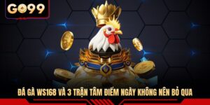 Đá Gà WS168