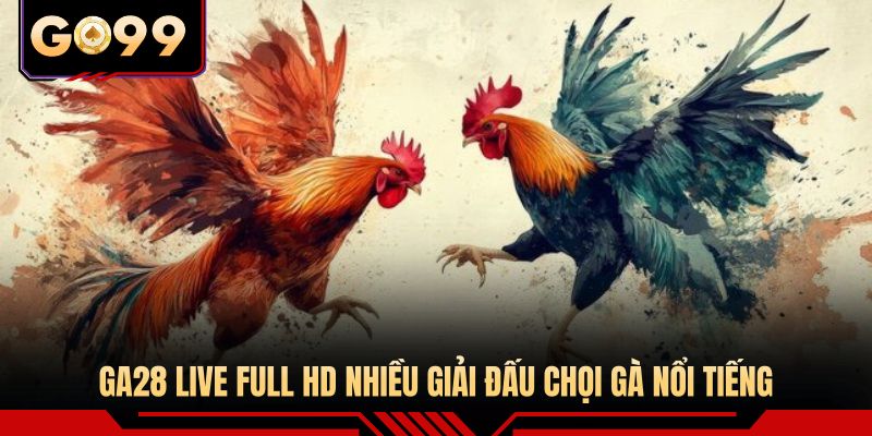 GA28 live full HD nhiều giải đấu chọi gà nổi tiếng